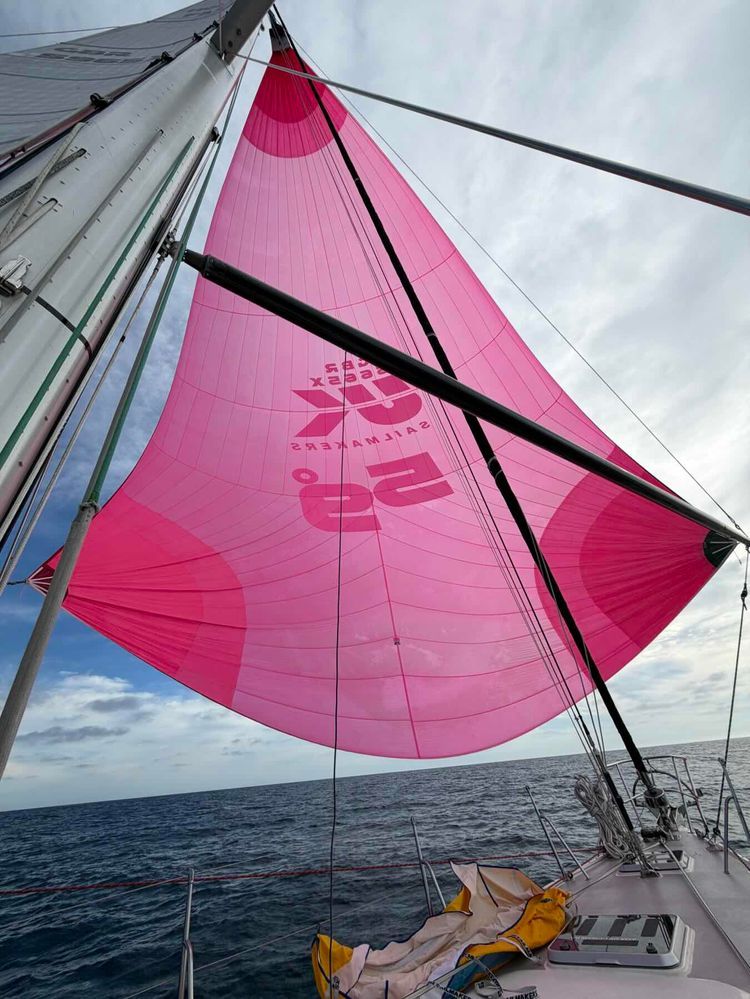 Voyage photo from San Diego to Cabo San Lucas