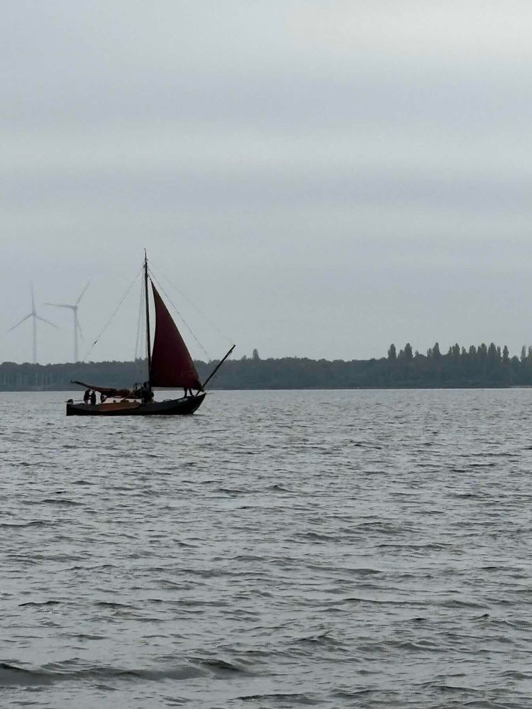 Voyage photo from Blue Peter hardzeildagen dag 1