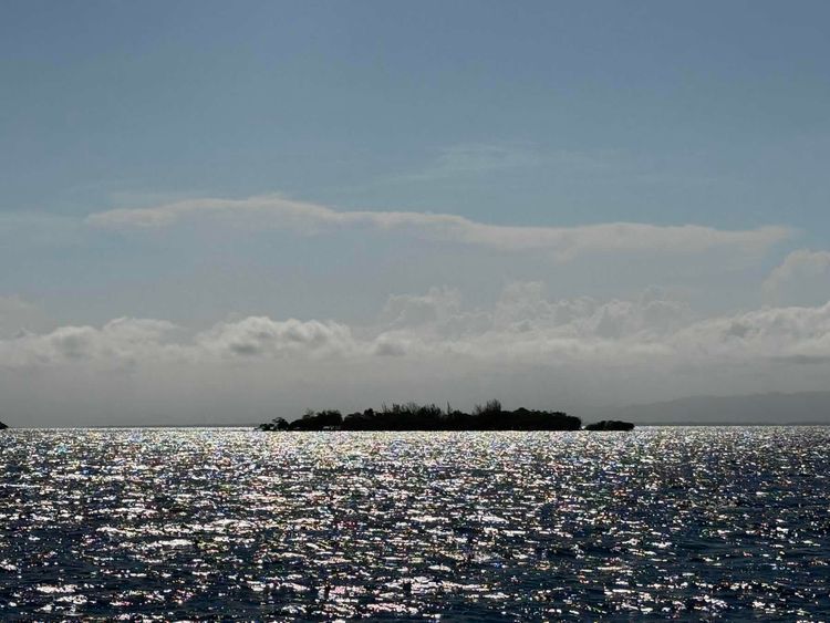 Voyage photo from Belize Day 5 - Caribou Caye to King Lewey Resort