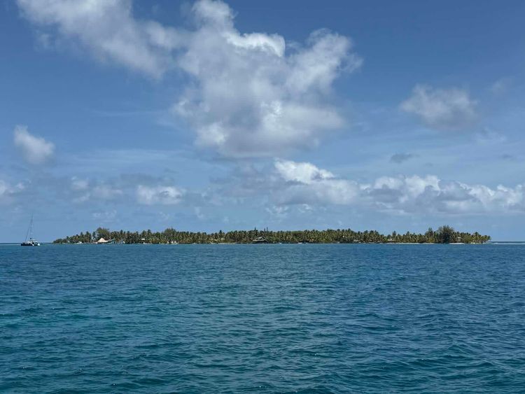 Voyage photo from Belize Day 5 - Caribou Caye to King Lewey Resort