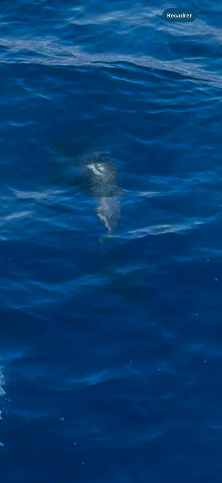 Voyage photo from Les Saintes direction Saint-François