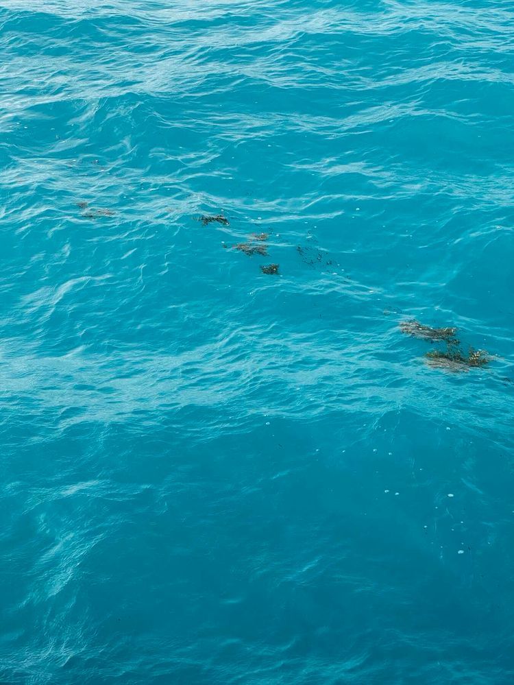 Voyage photo from