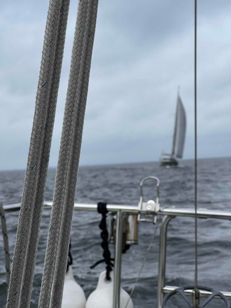 Voyage photo from Back to the Home Port. Part 2