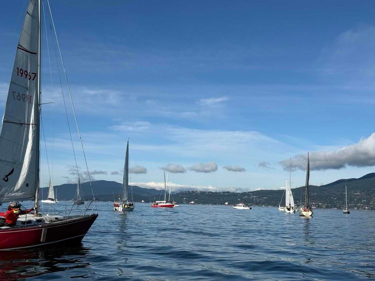 Voyage photo from VRC polar bear