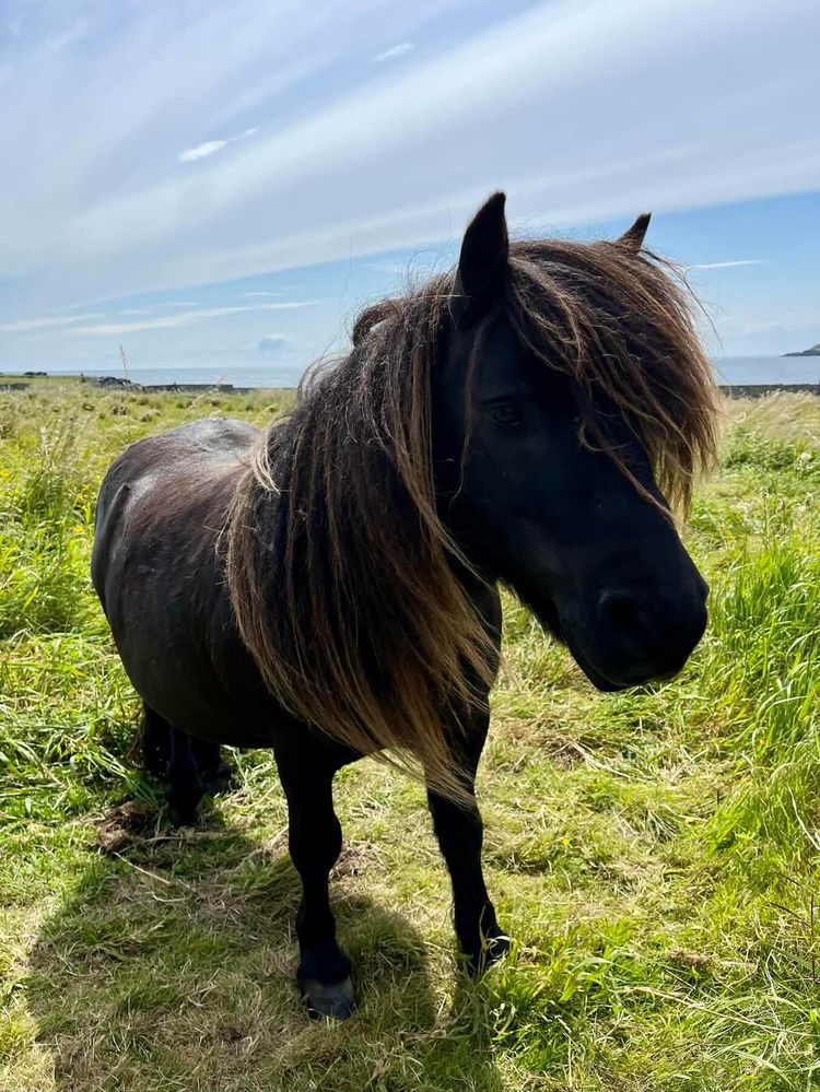 Voyage photo from Shetland to Norway 