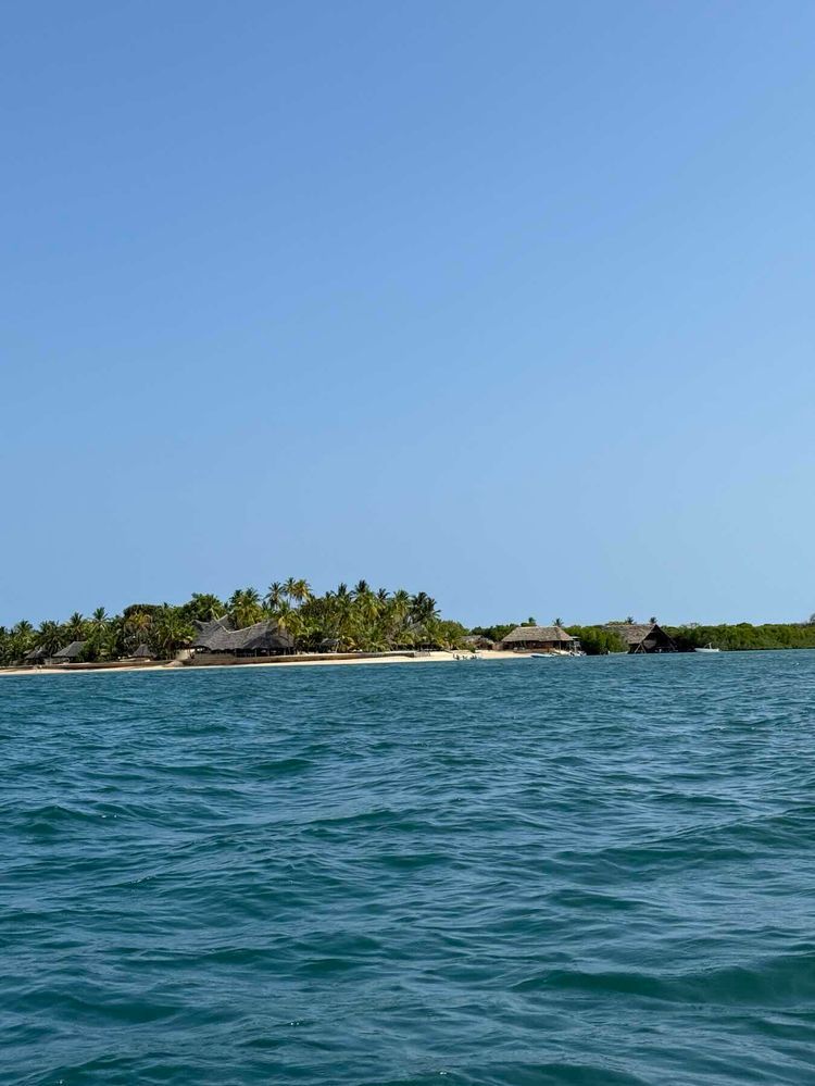 Voyage photo from Lunch sail with grilled king fish 🐟