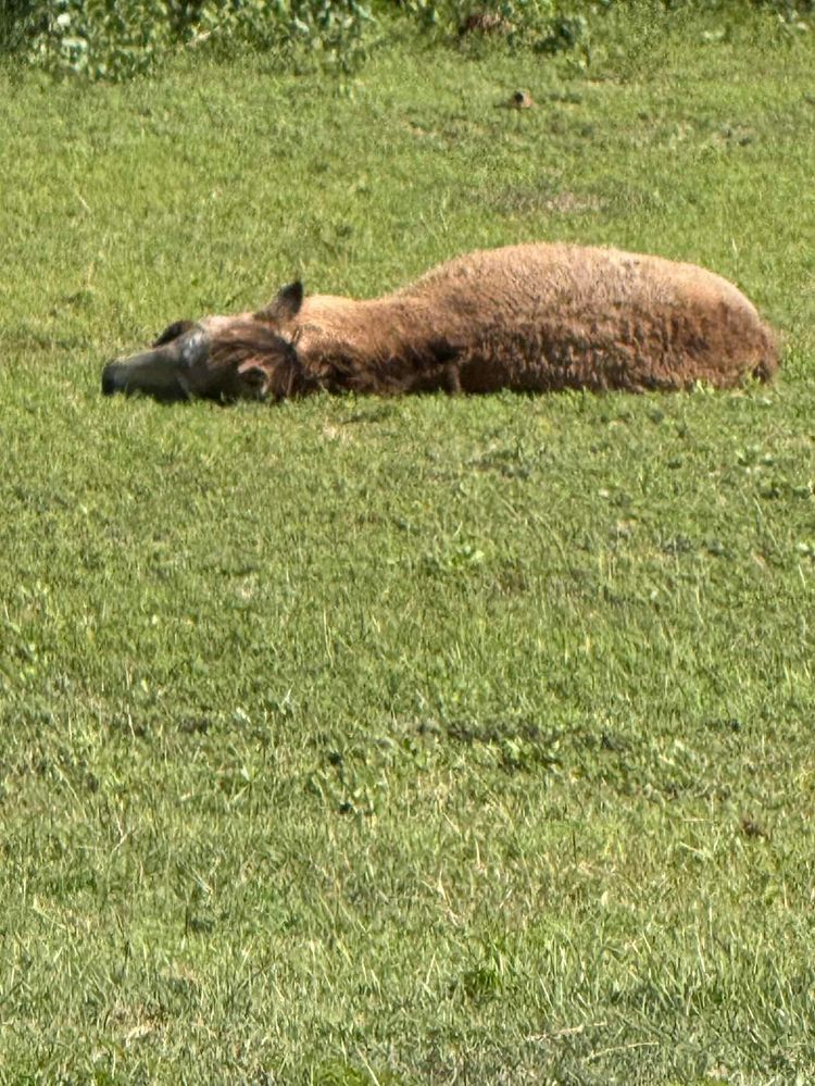 Voyage photo from Around the horn-No not Cape Horn!