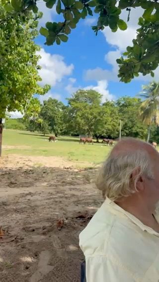 Voyage photo from Around the horn-No not Cape Horn!