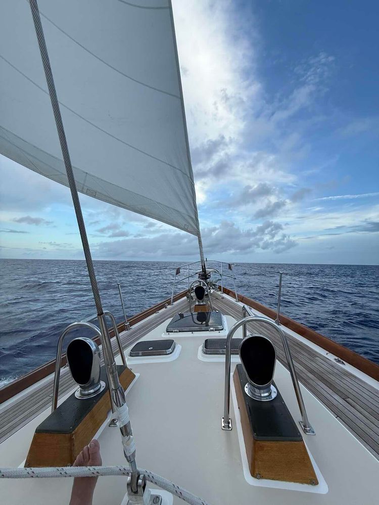 Voyage photo from Bahamas to Fernandina Day 2 Part 2