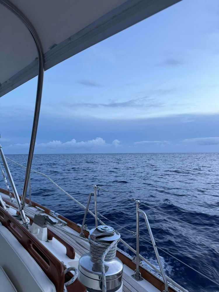 Voyage photo from Bahamas to Fernandina Day 2 Part 2