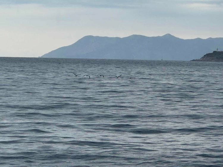 Voyage photo from OSW 35. Day 8. Way to home marina