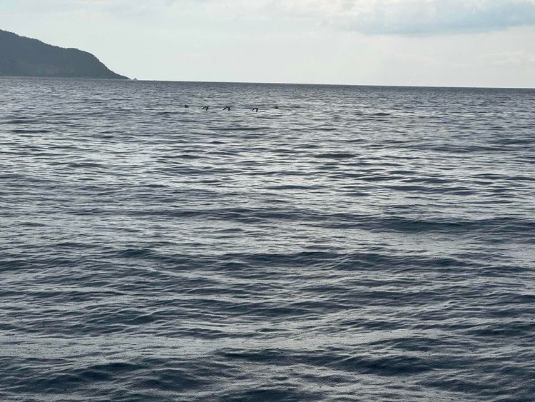 Voyage photo from OSW 35. Day 8. Way to home marina