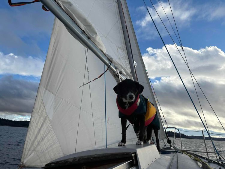 Voyage photo from Kingston to Fremont