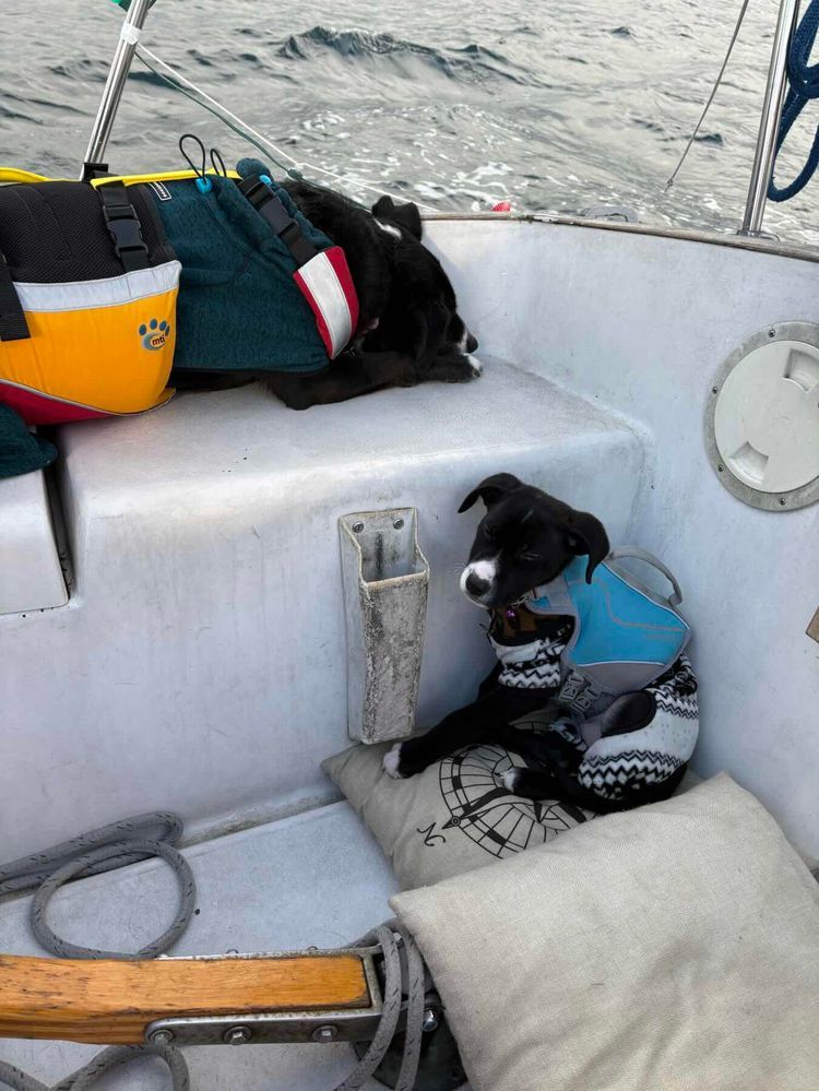 Voyage photo from Kingston to Fremont