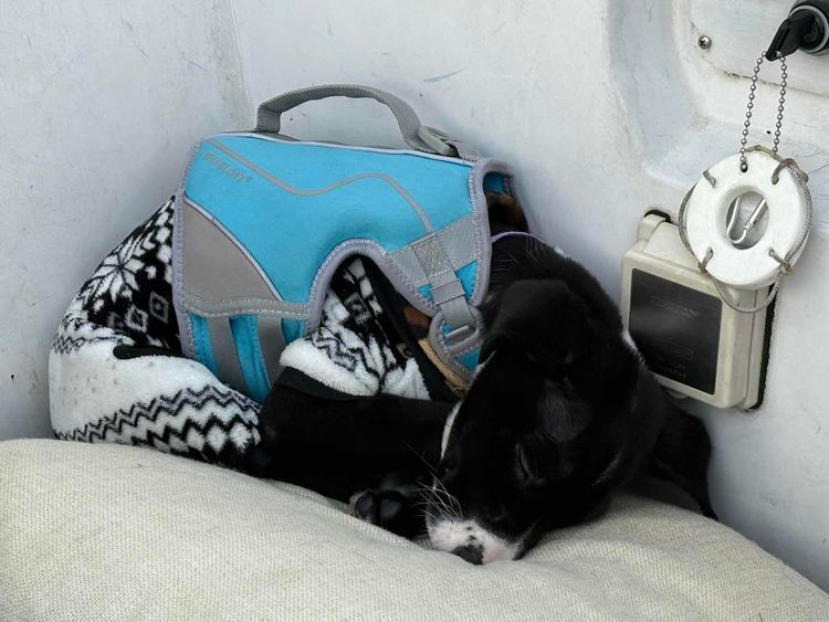 Voyage photo from Kingston to Fremont