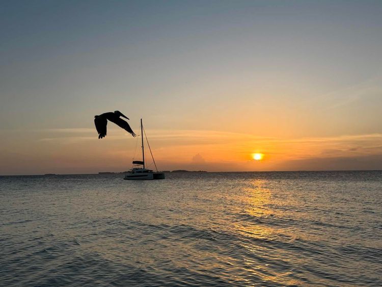 Voyage photo from Belize Day 1- Moho Caye