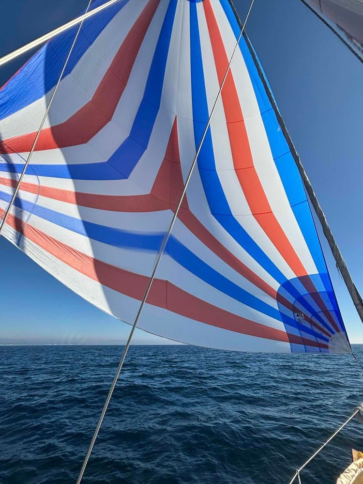 Voyage photo from Spinnaker