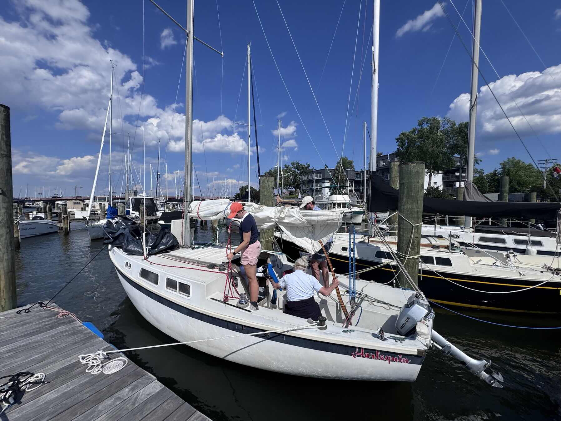 Cal 25 Sail_2A4818F4-38BC-404C-94FB-AF70AF4C2497