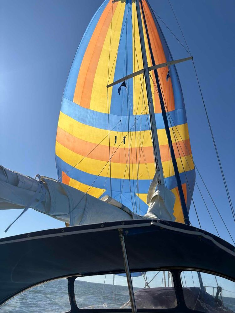 Voyage photo from Day 15, Sailing to Reposaari