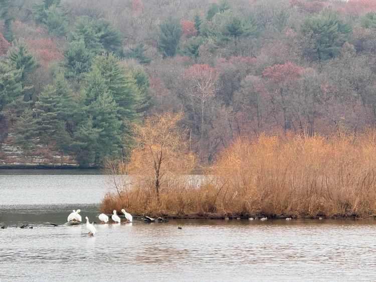 Voyage photo from Day 3