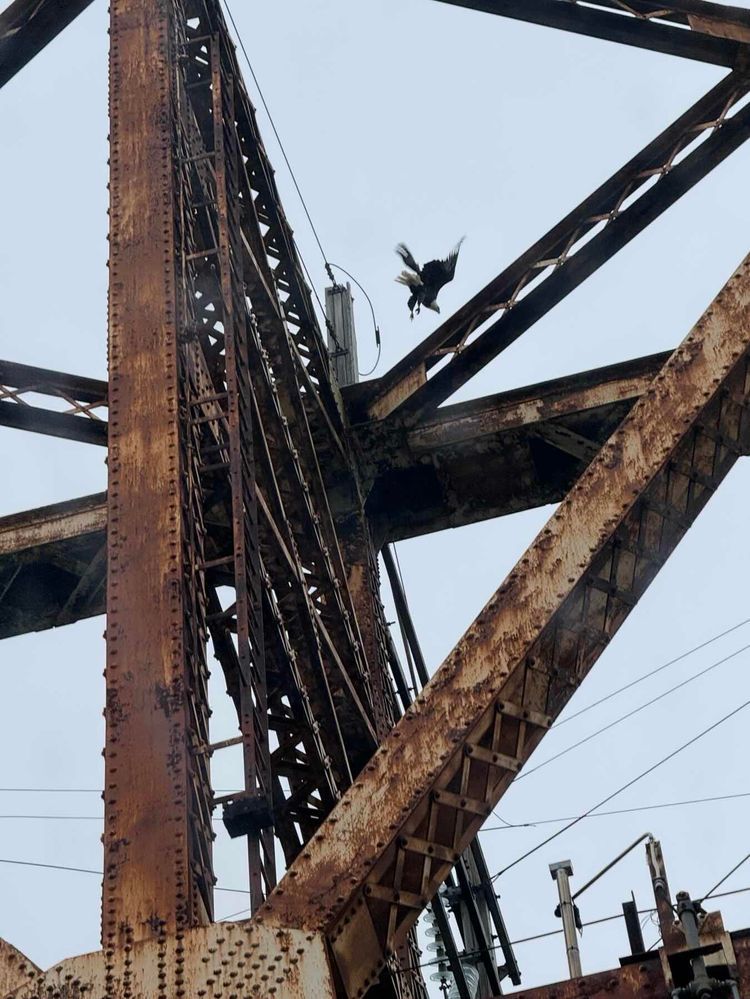 Voyage photo from Day 3