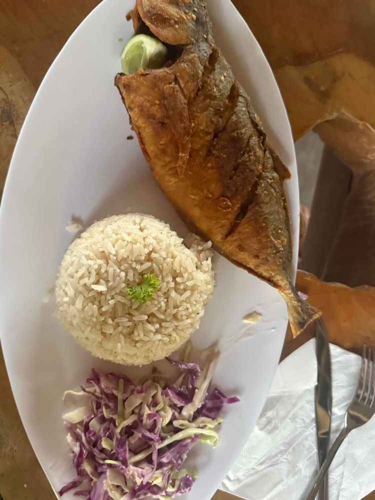 Voyage photo from Lemons Island to Green Island- San Blas, Panama