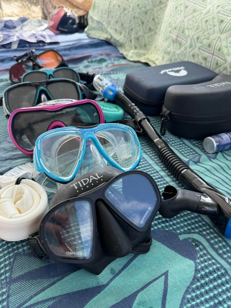 Voyage photo from Fowl National
Park