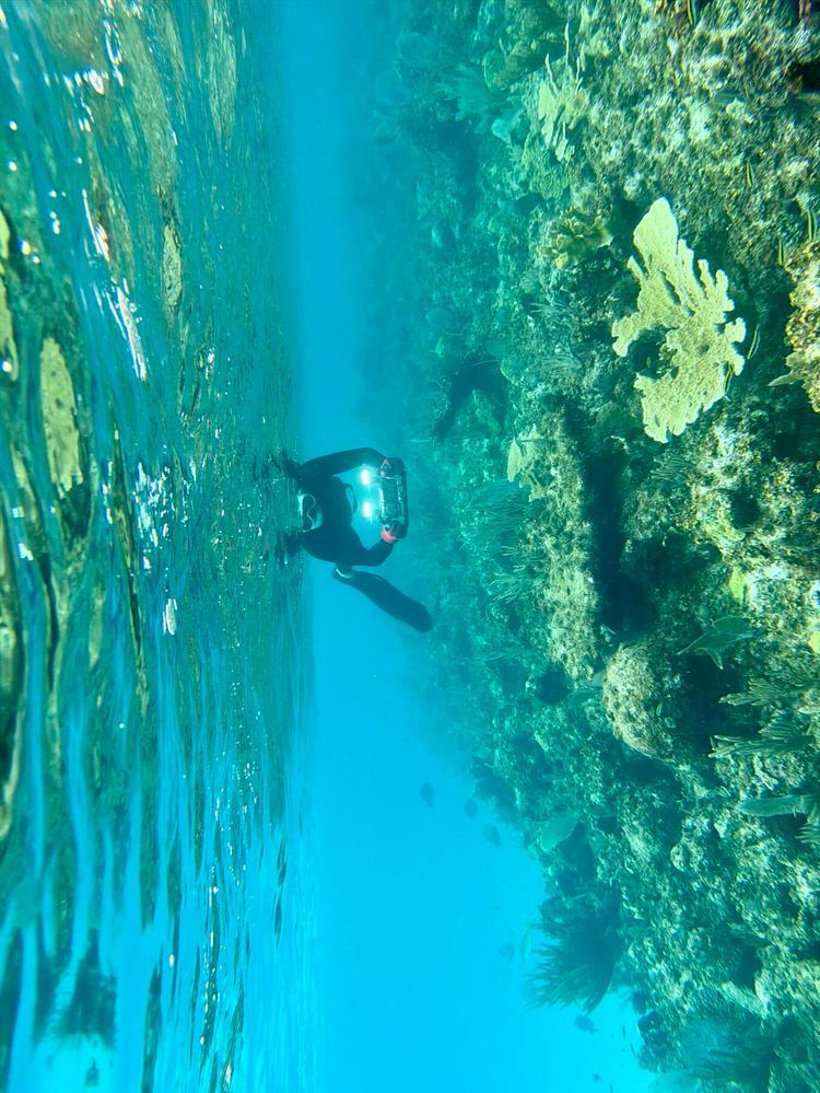 Voyage photo from Fowl National
Park