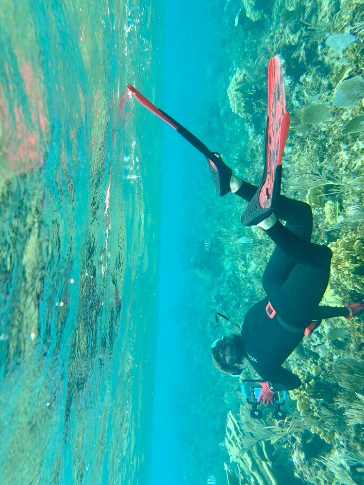 Voyage photo from Fowl National
Park