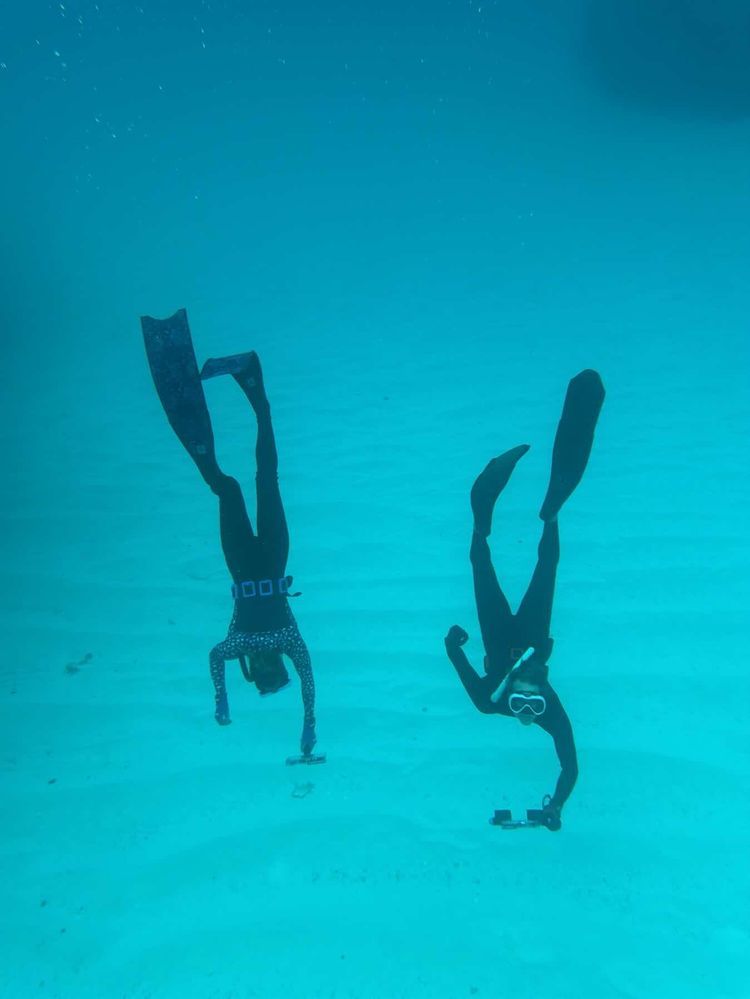 Voyage photo from Fowl National
Park