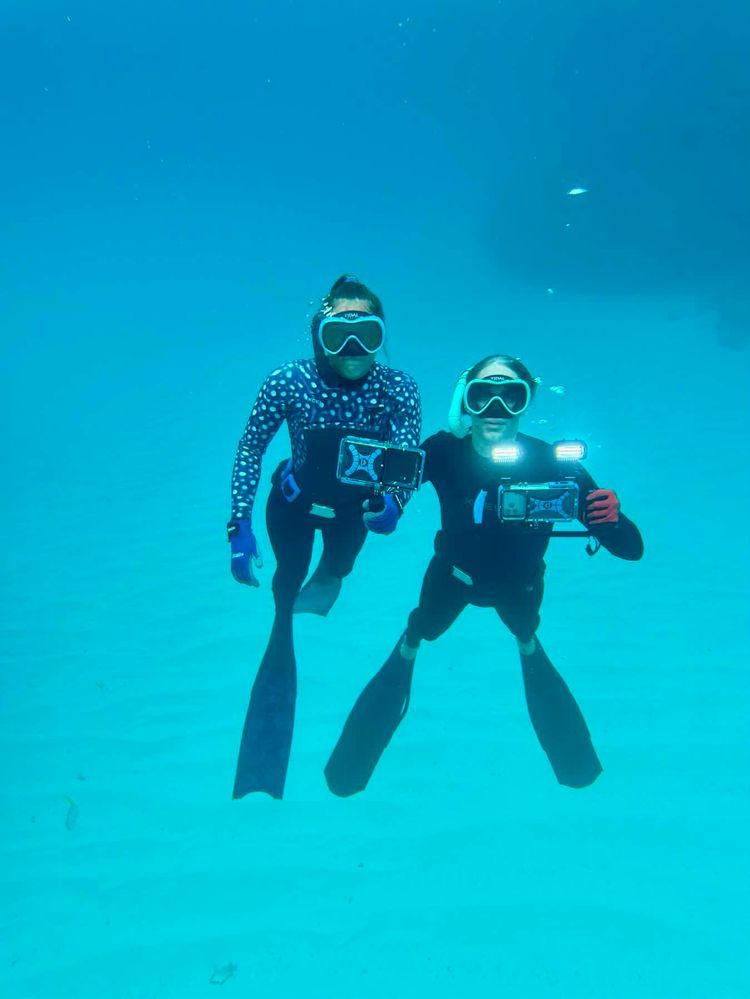 Voyage photo from Fowl National
Park