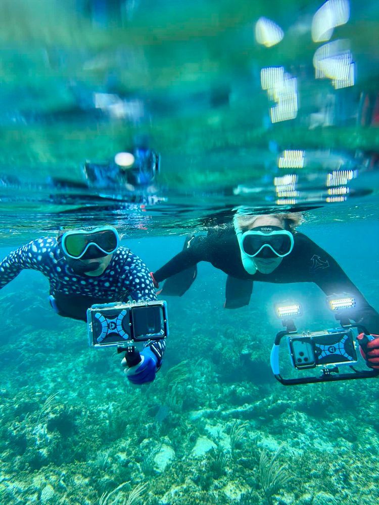 Voyage photo from Fowl National
Park