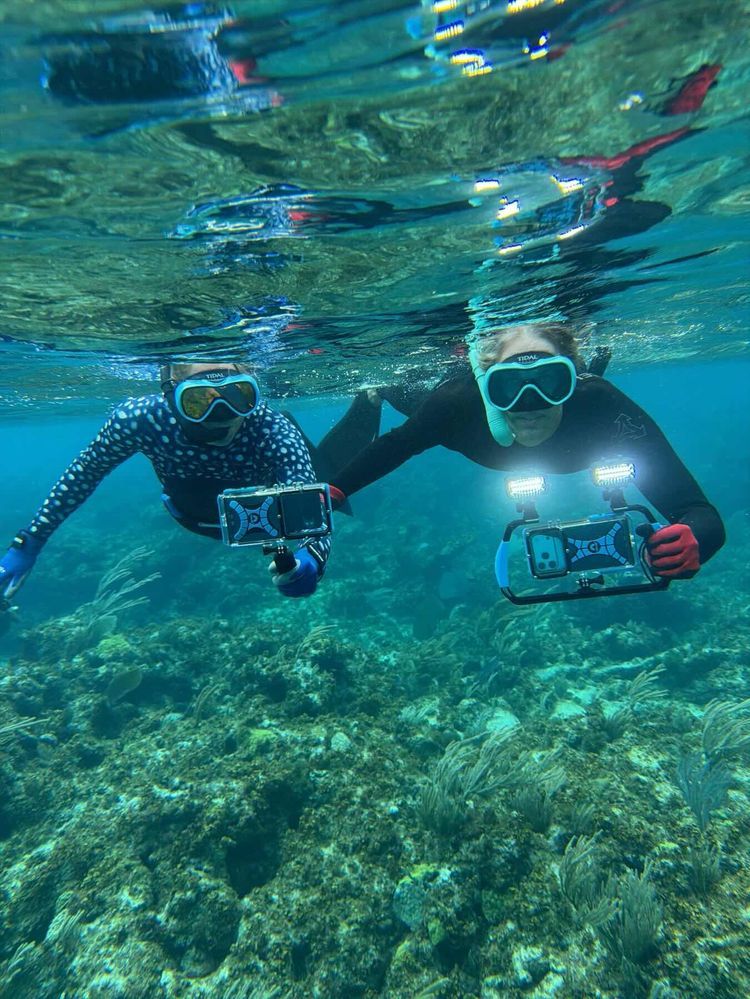 Voyage photo from Fowl National
Park