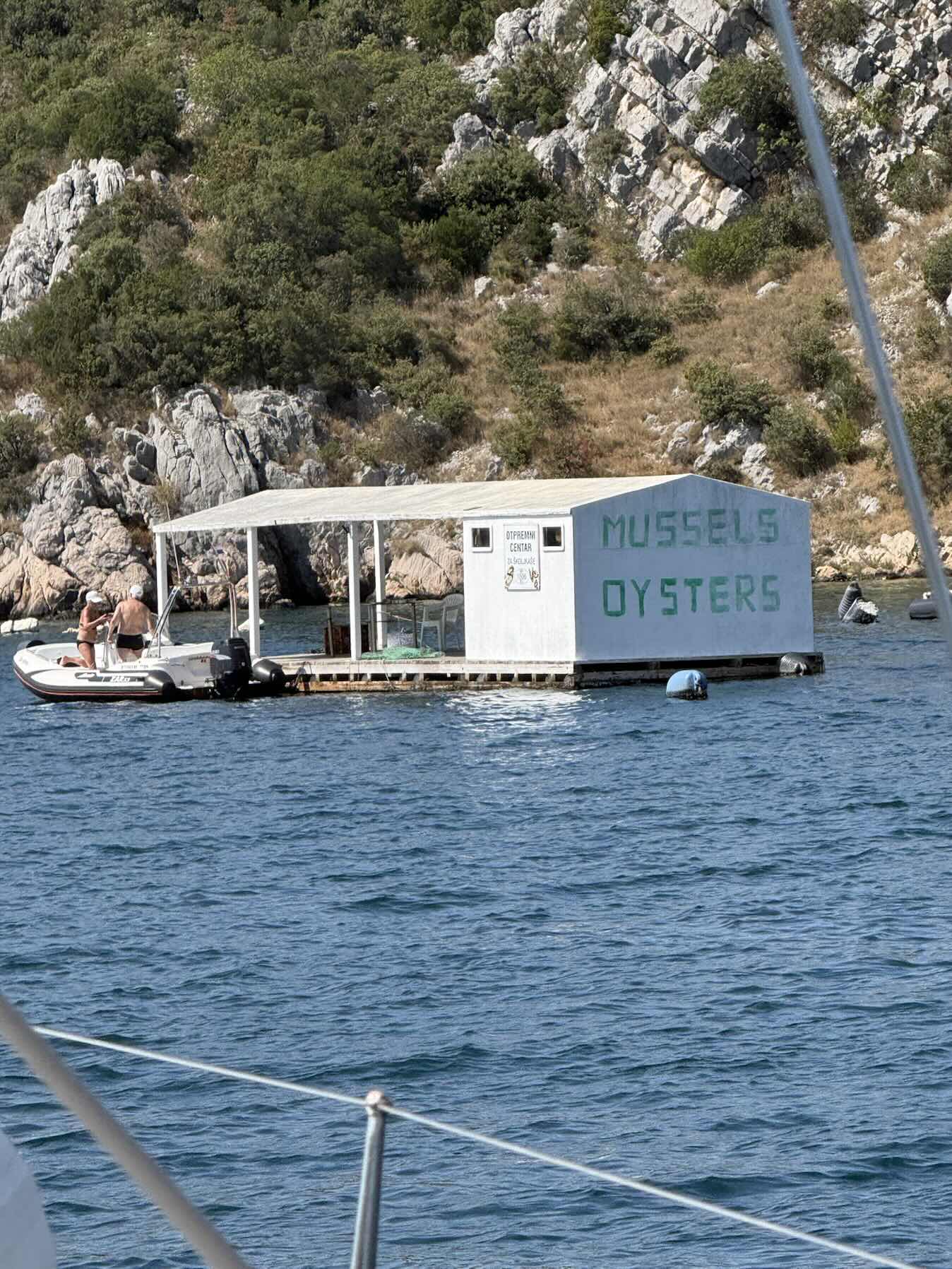 Up the River-Oysters opened along side the boat_BB6A6E2D-41DD-4B05-9122-F368943E0597