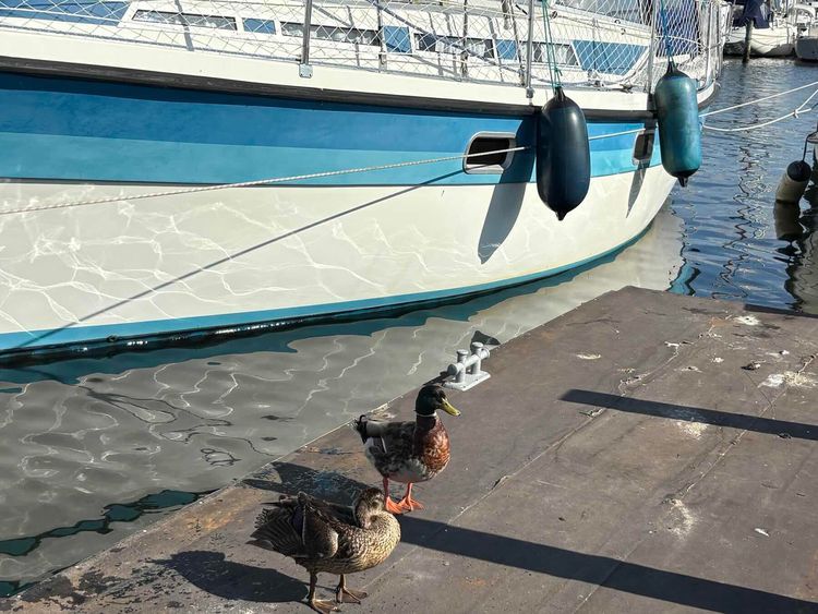 Voyage photo from Göta-Kanal Sommertörn 2025