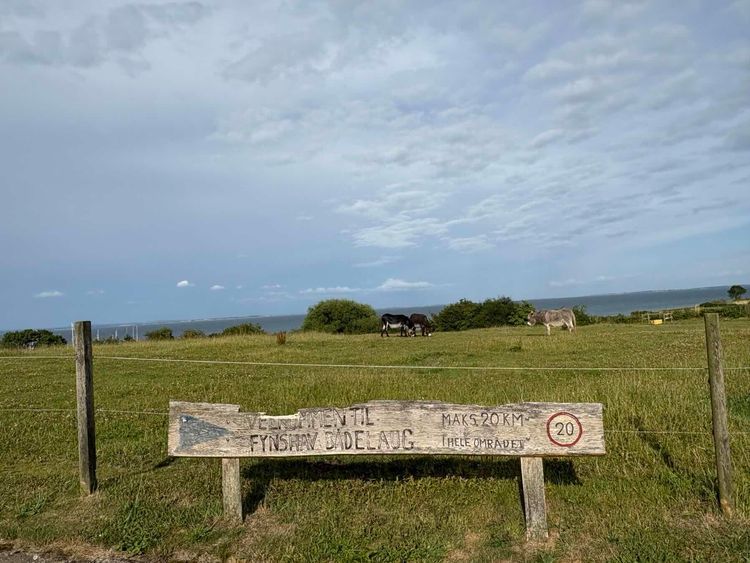 Voyage photo from Göta-Kanal Sommertörn 2025