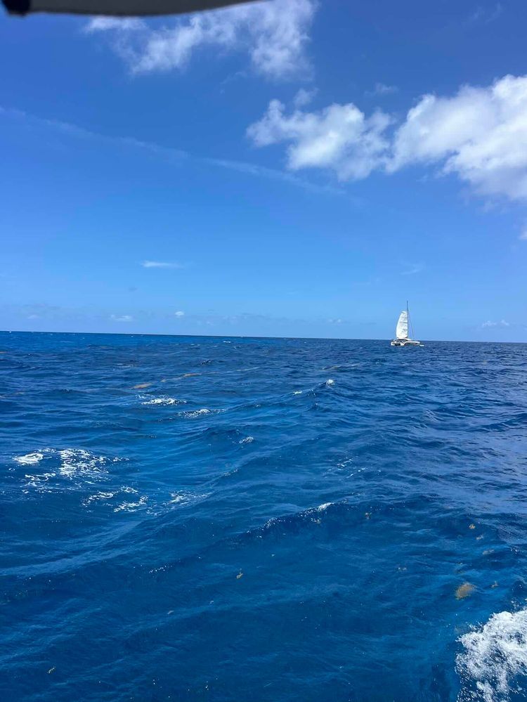 Voyage photo from LBYC Caribbean Cruise Thursday - day 3