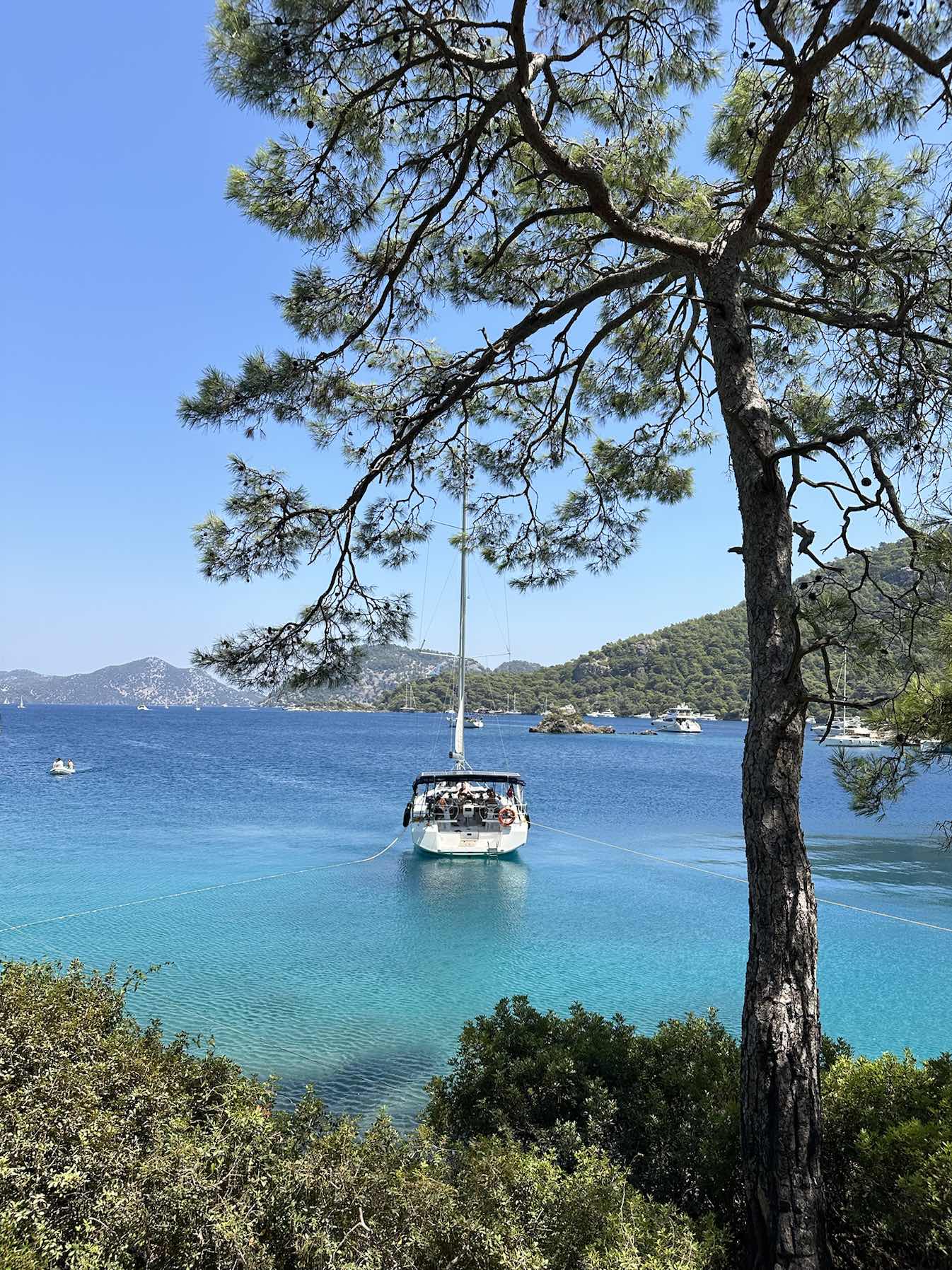 Türkiye 25’_F49C4124-E5B4-4E09-B938-255C73820F95