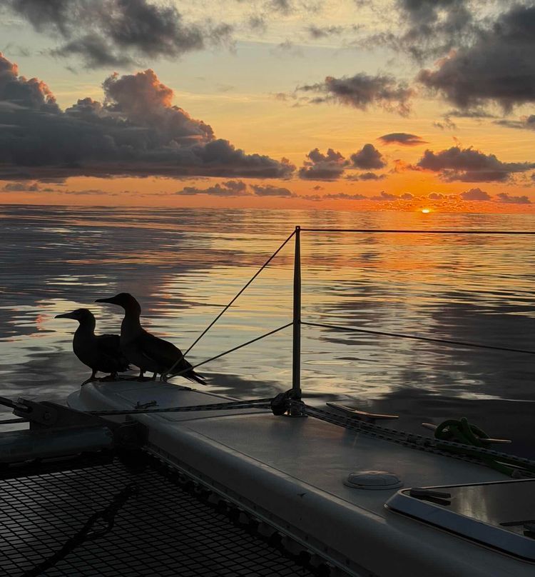 Voyage photo from Traversé entre Panama et Galapagos 🥰