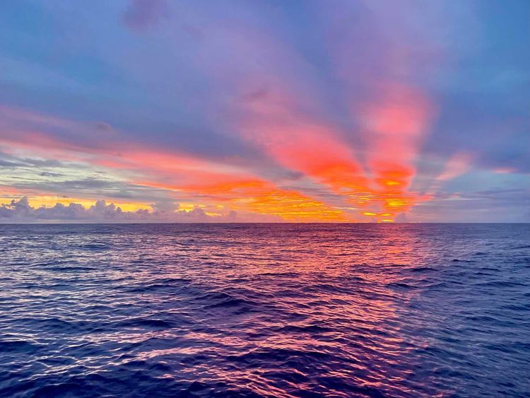 Voyage photo from Leg 3 Bermuda to Le Marin, Martinique 