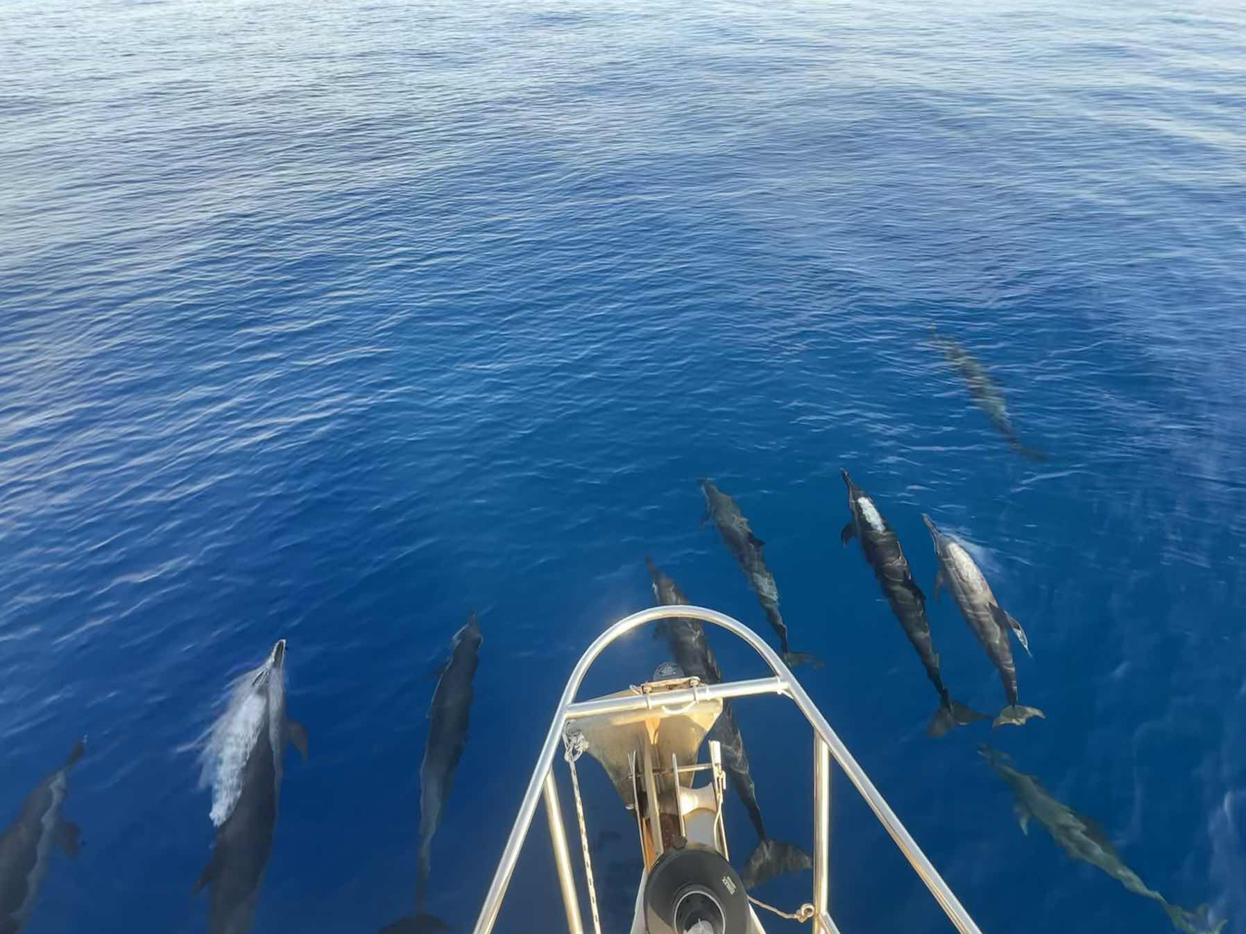Darwin to Cocos Keeling_10EFD68B-EAB7-4424-87A8-6B7874BF1719