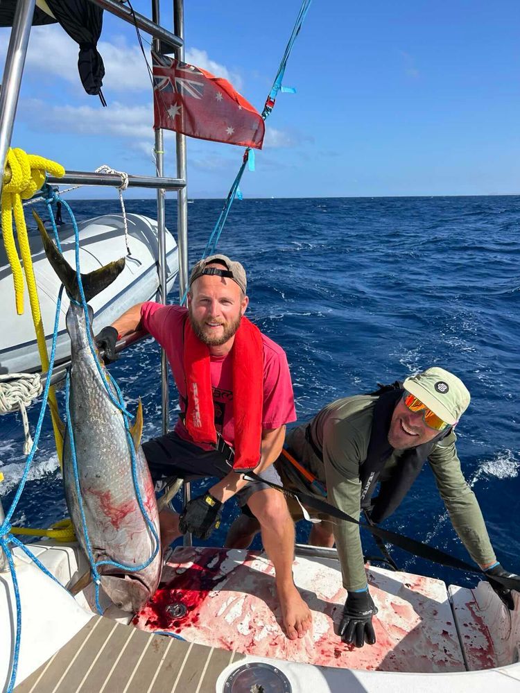 Voyage photo from Leg n°2 SV Solis : from Lanzarote, Canarias to Sal, Cabo Verde