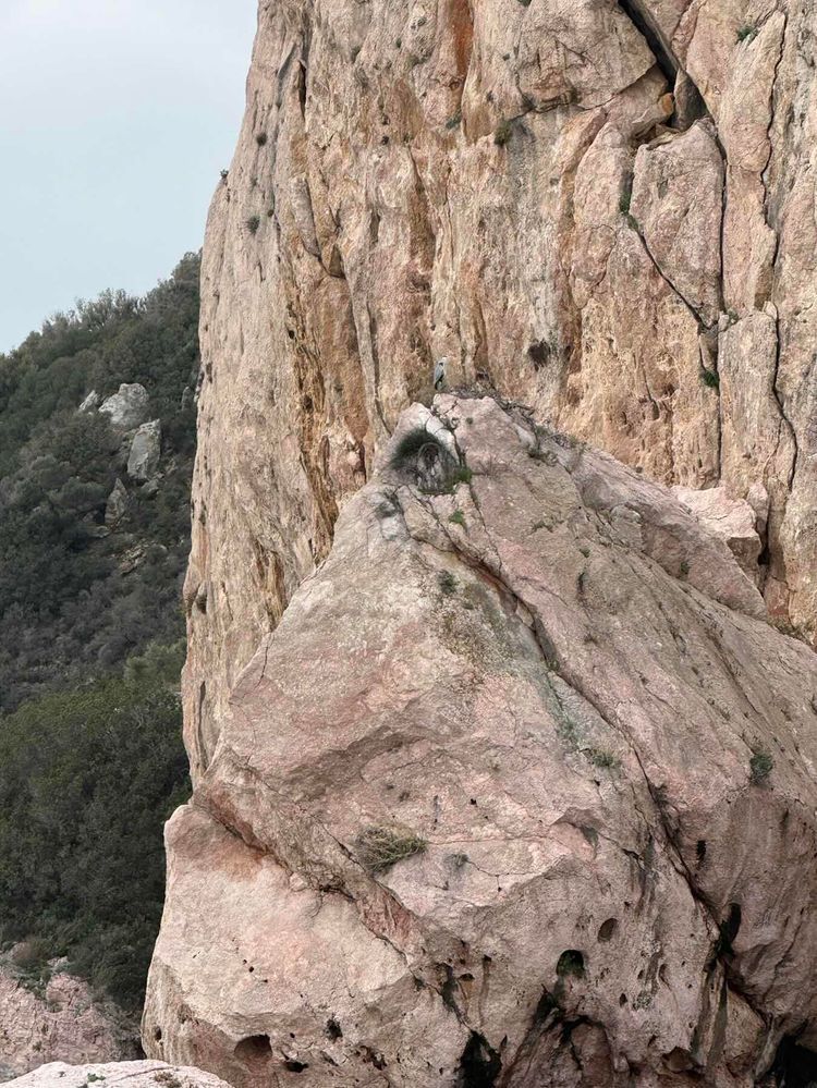 Voyage photo from Delivery Nea Iraklitsa - Nea Peramos