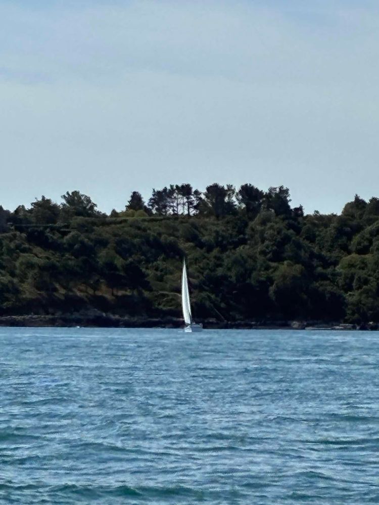 Voyage photo from CITCO Round Island Race