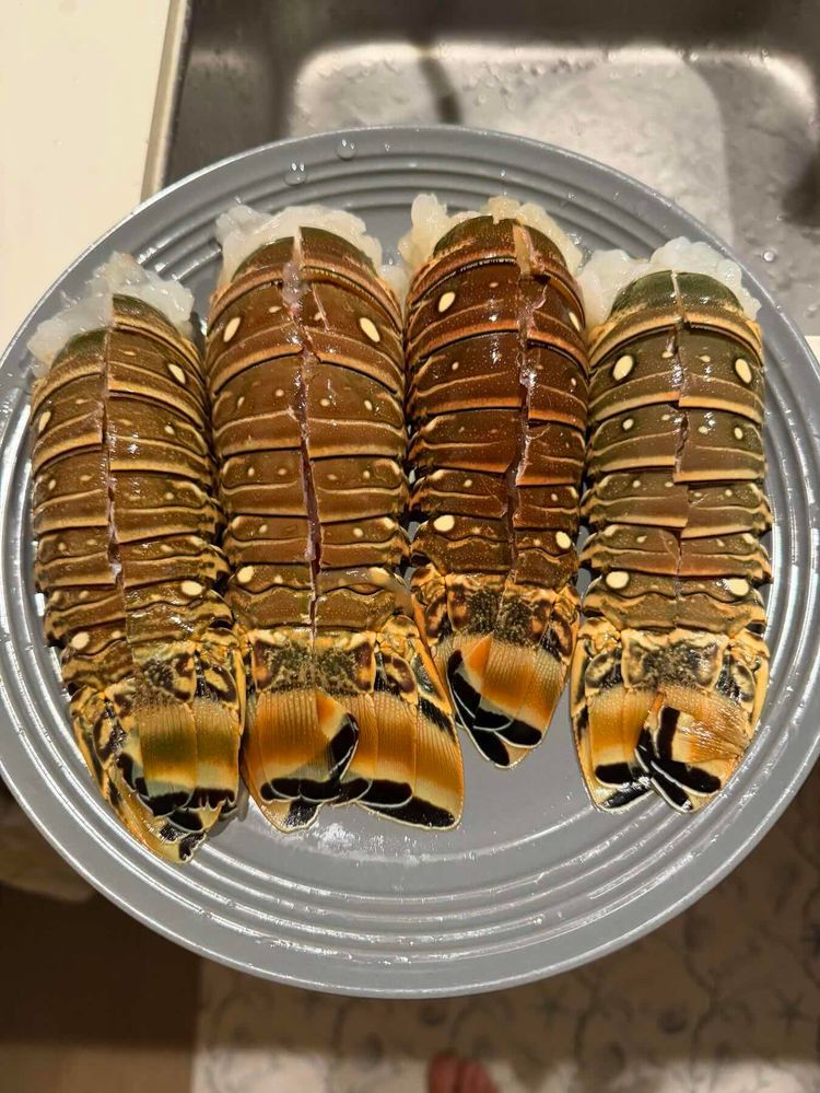 Voyage photo from Old Bahama Bay to DB Cay