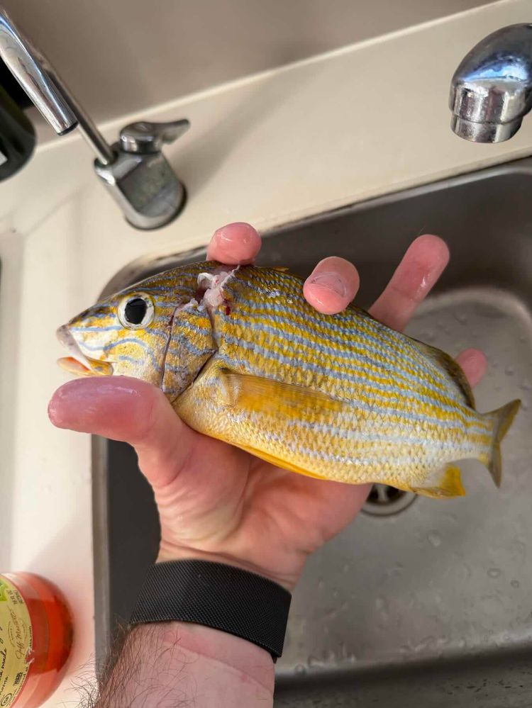 Voyage photo from Old Bahama Bay to DB Cay