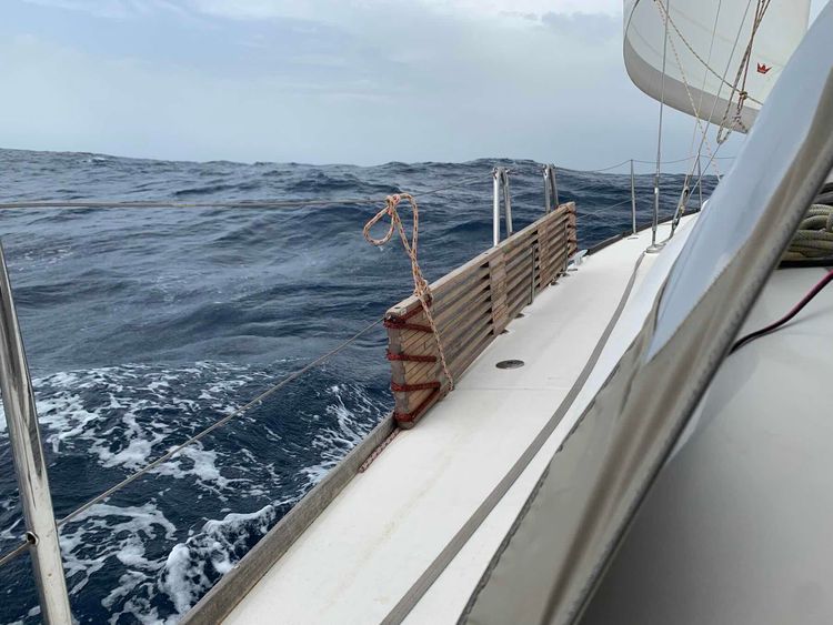 Voyage photo from Kanaren-Madeira-Törn Tag 3 b