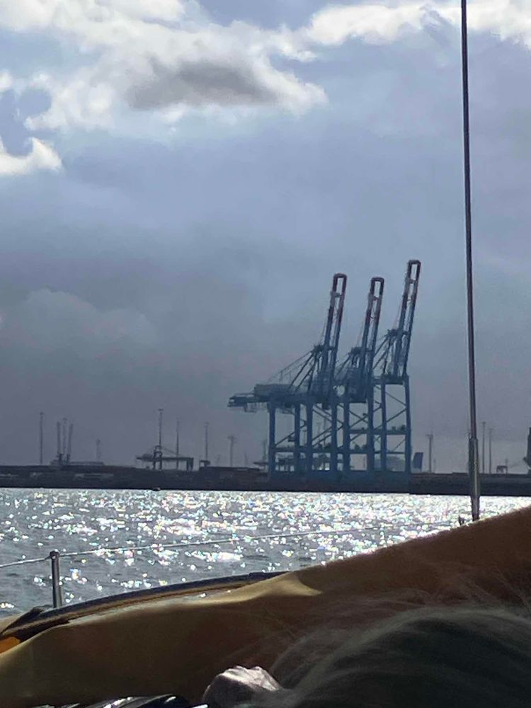 Voyage photo from Elite - Autumn Breeze Day 6 Breskens to Zeebrugge (passport control)