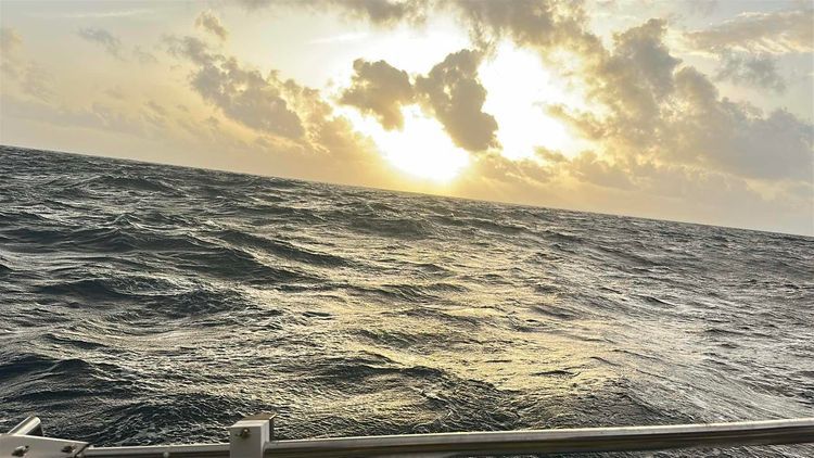 Voyage photo from Grenada to Bonaire