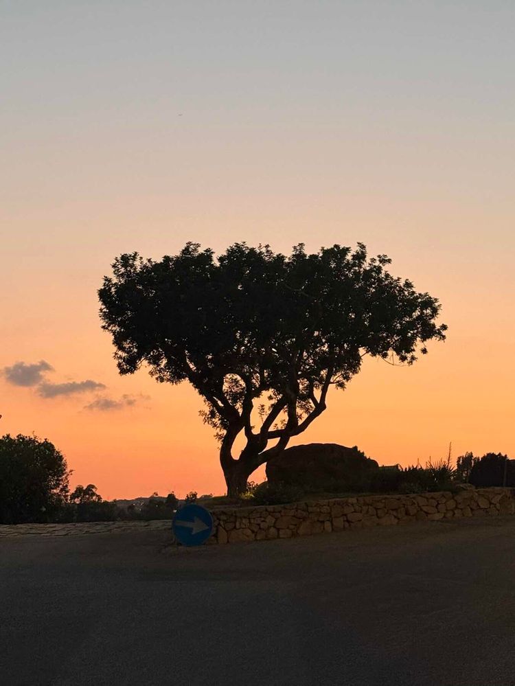 Voyage photo from East coast of Sardinia